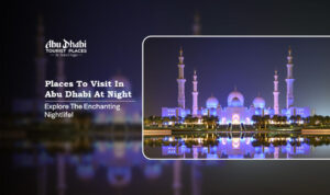 places to visit in Abu Dhabi at night, Abu Dhabi night attractions Blog Banner by Abu Dhabi Tourist Places