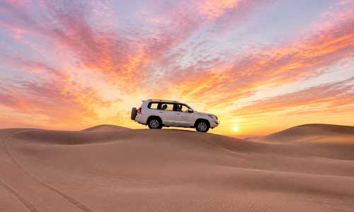 Desert Safari