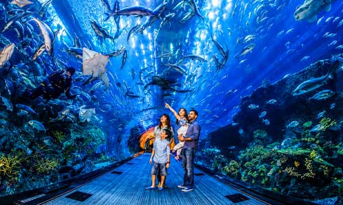 National Aquarium Abu Dhabi Tickets