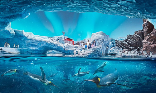 SeaWorld Abu Dhabi Tickets