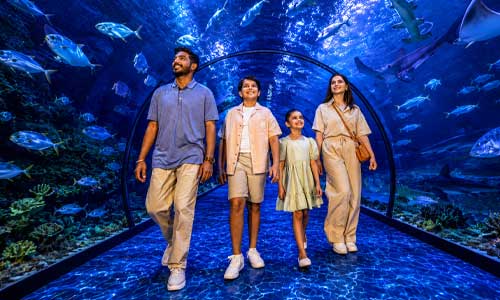 Family Experiences