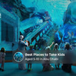 Children enjoying family-friendly attractions and fun activities across Abu Dhabi.